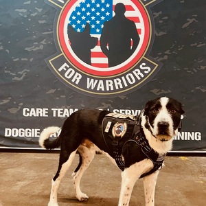 Fundraising Page: Zachary Batista